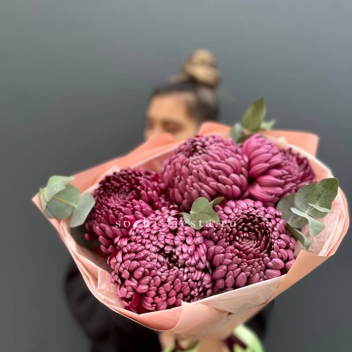 Хризантемы  Бигуди  в Ульяновске