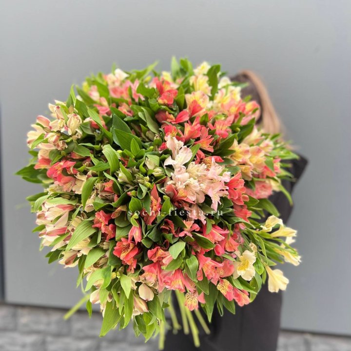 51 альстромерия в Ульяновске