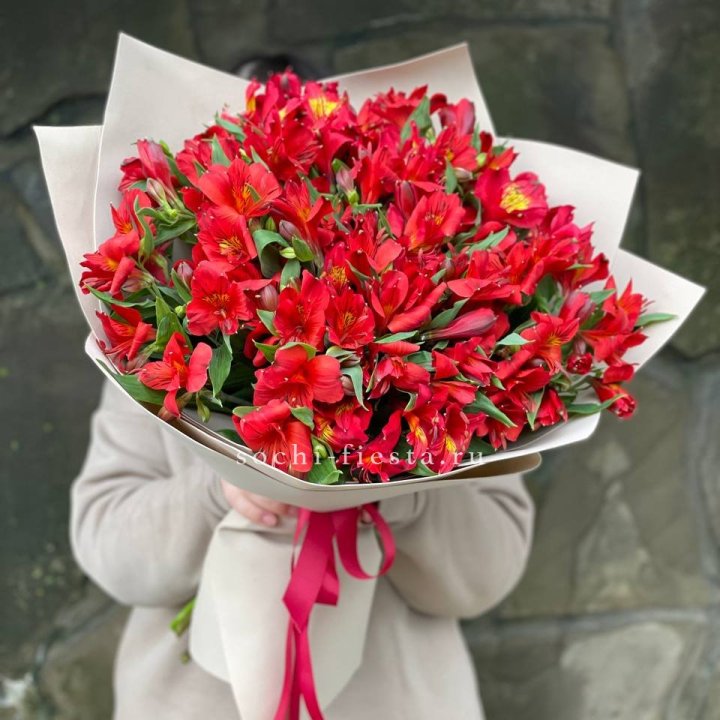 51 альстромерия в Ульяновске