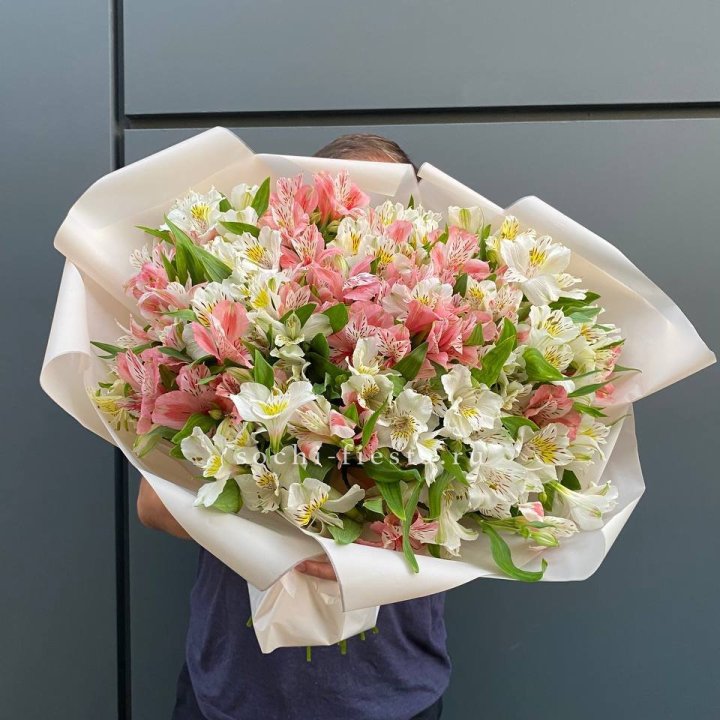 39 альстромерий в Ульяновске