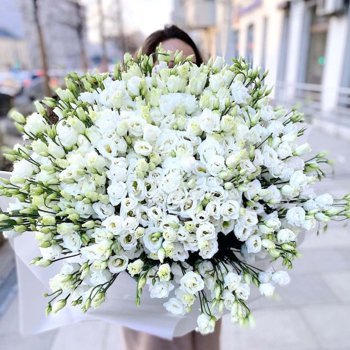 101 белая эустома в Ульяновске