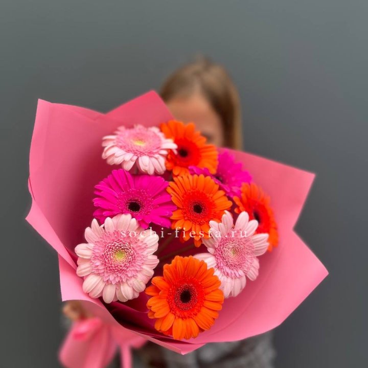 Краски в Ульяновске