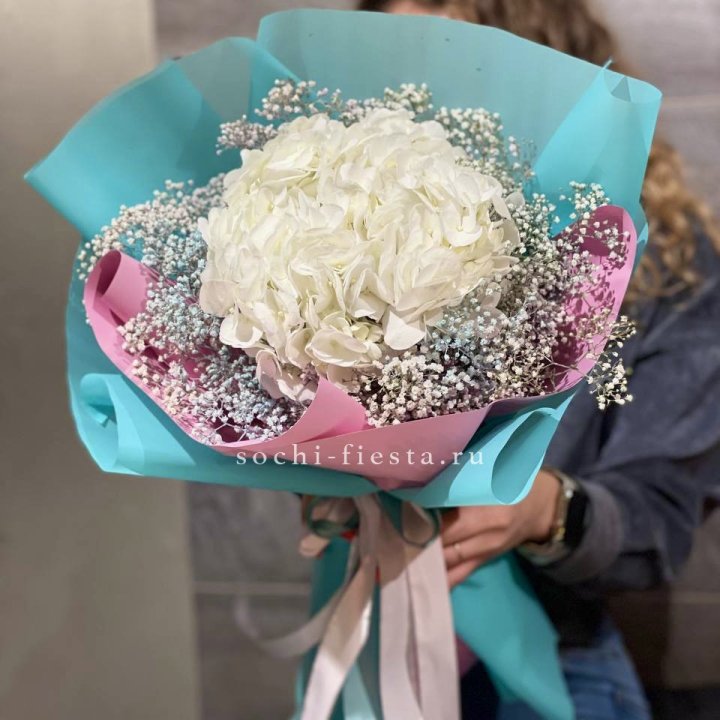 Гортензия "Райдов" в Ульяновске