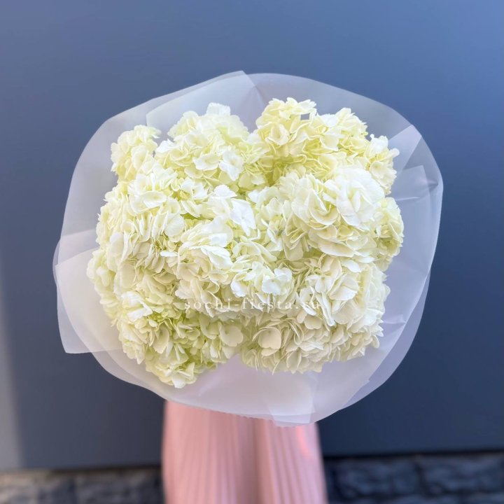 7 белых гортензий в Ульяновске