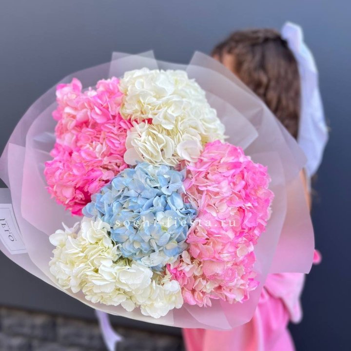 7 гортензий микс в Ульяновске