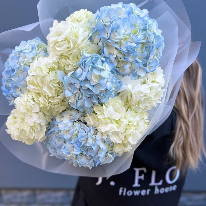 9 бело-голубых гортензий в Ульяновске