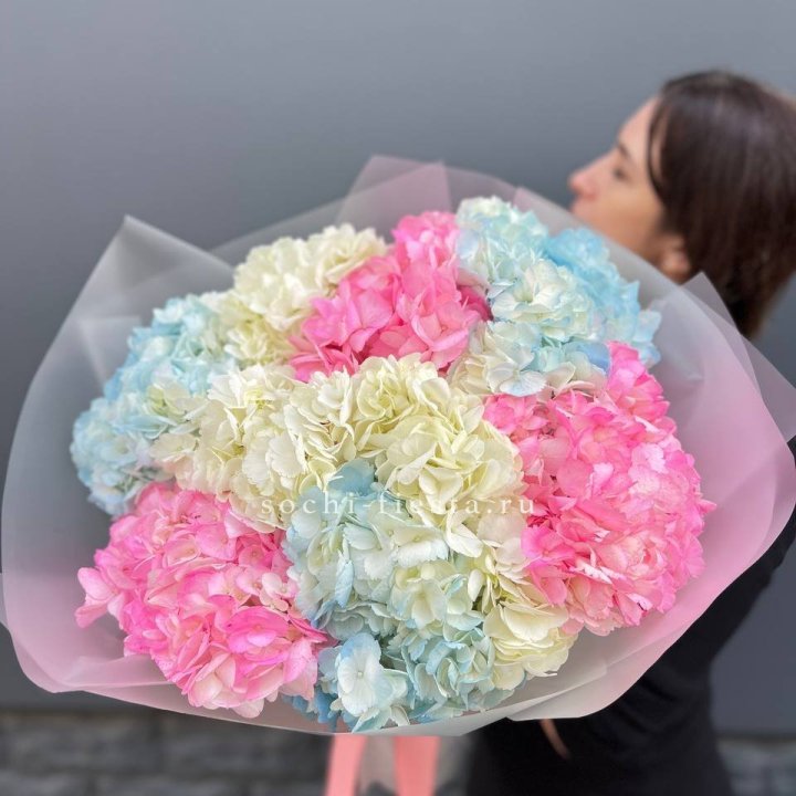 9 гортензий микс в Ульяновске