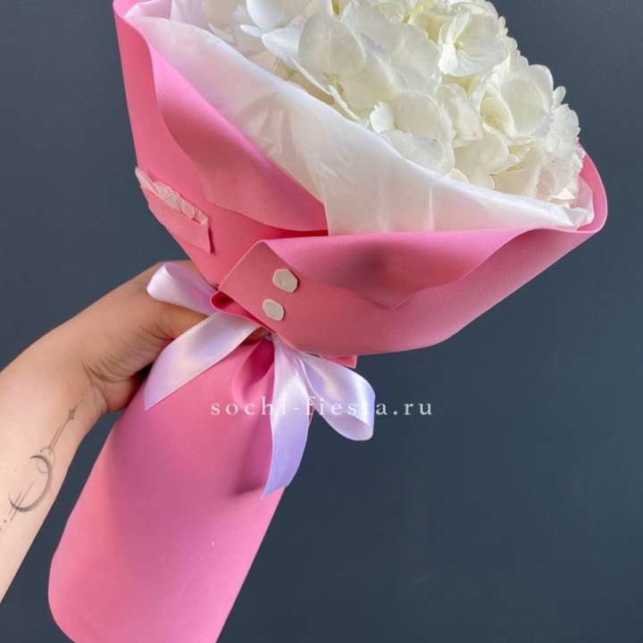 Гортензия в розовом пиджаке в Ульяновске