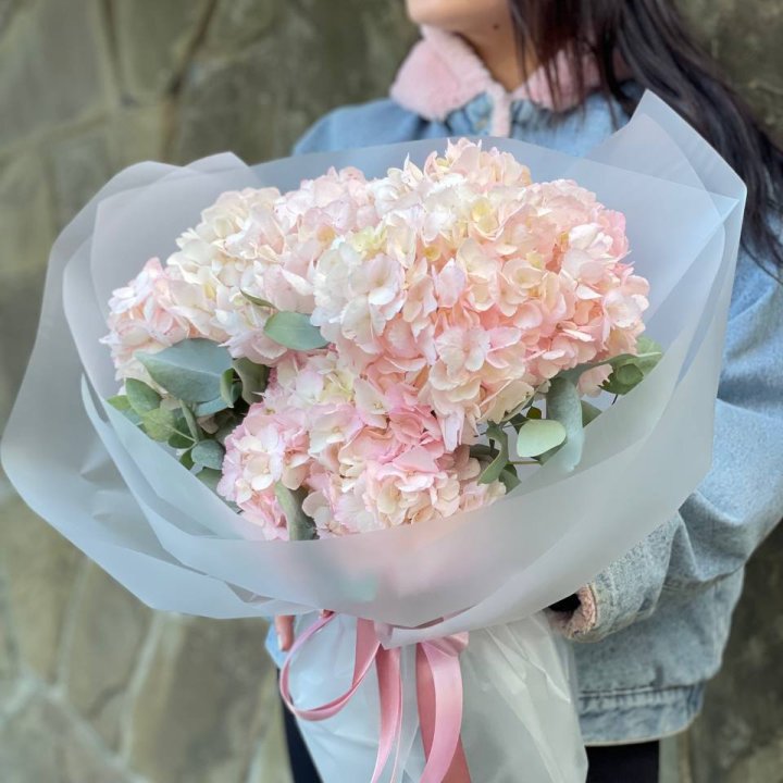 5 розовых гортензий в Ульяновске