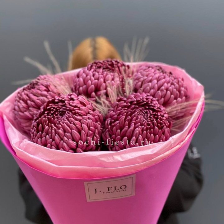 Хризантемы  Бигуди с стифой в Ульяновске