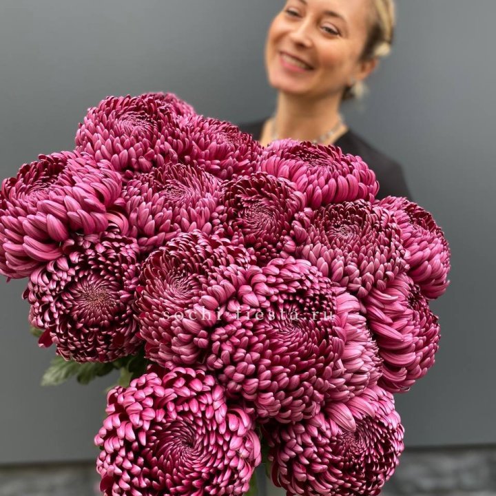 Охапка хризантем Бигуди в Ульяновске