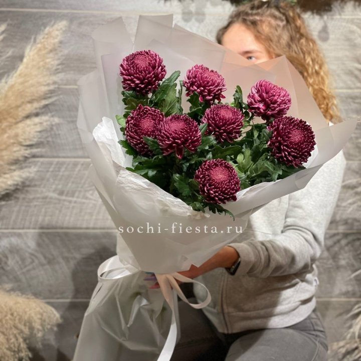 Хризантемы Бигуди в Ульяновске