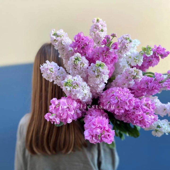 Охапка маттиолы в Ульяновске