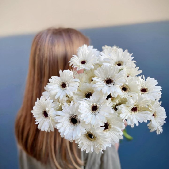 Охапка гербер в Ульяновске