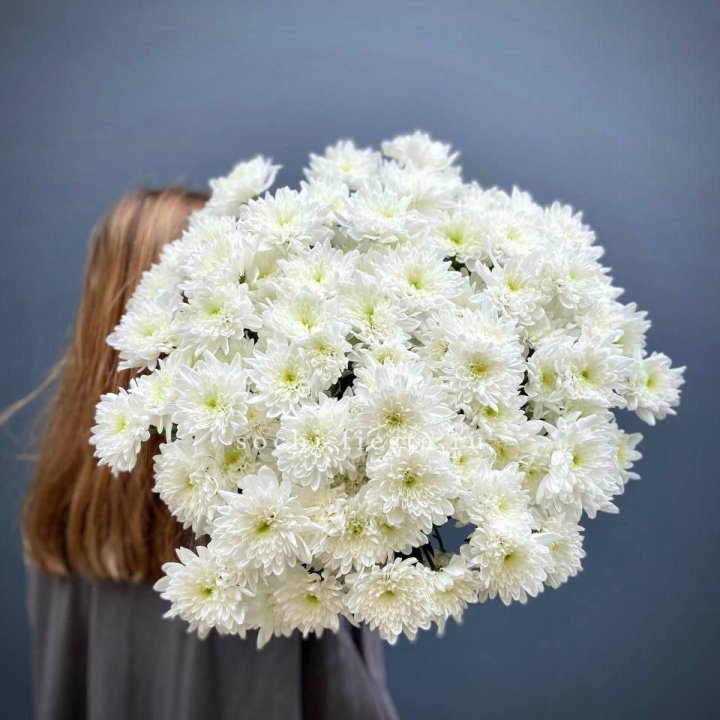 Охапка Хризантемы кустовой в Ульяновске