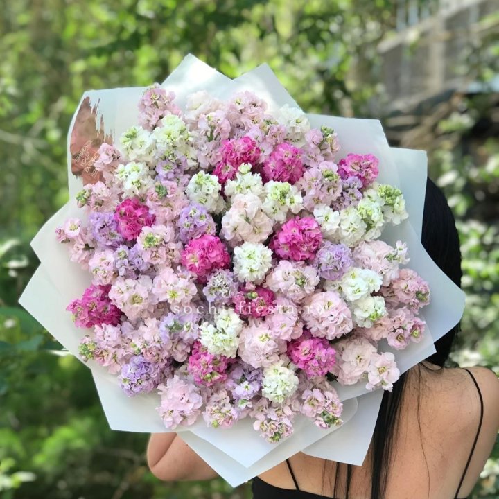 Букет ароматной маттиоллы №3 в Ульяновске