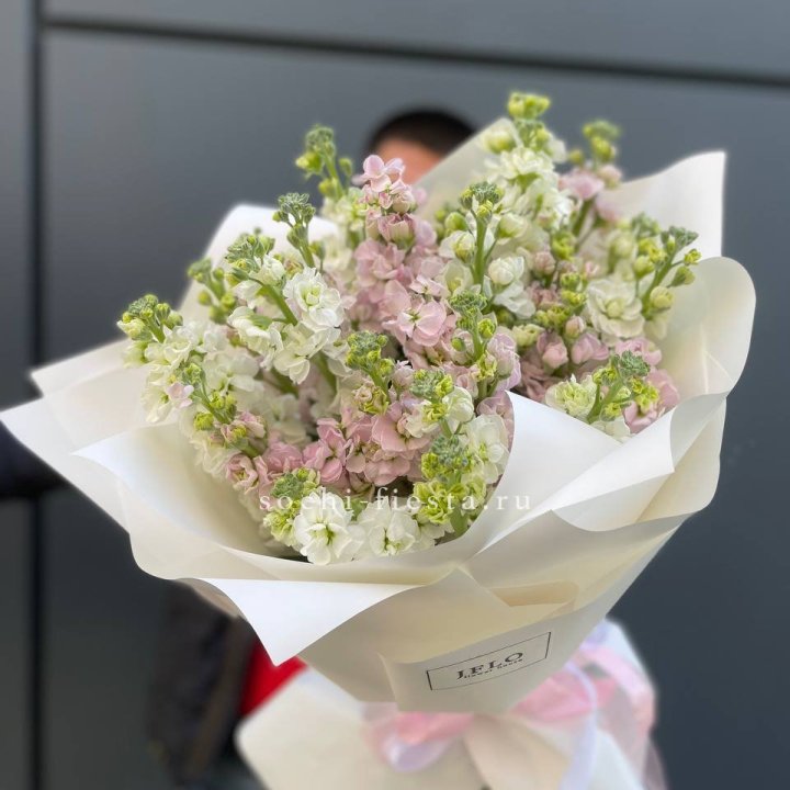 29 маттиол  в Ульяновске