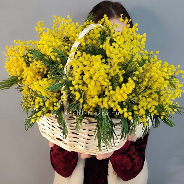 Корзина ароматной мимозы в Ульяновске