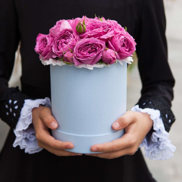 Бокс мини мисти в Ульяновске