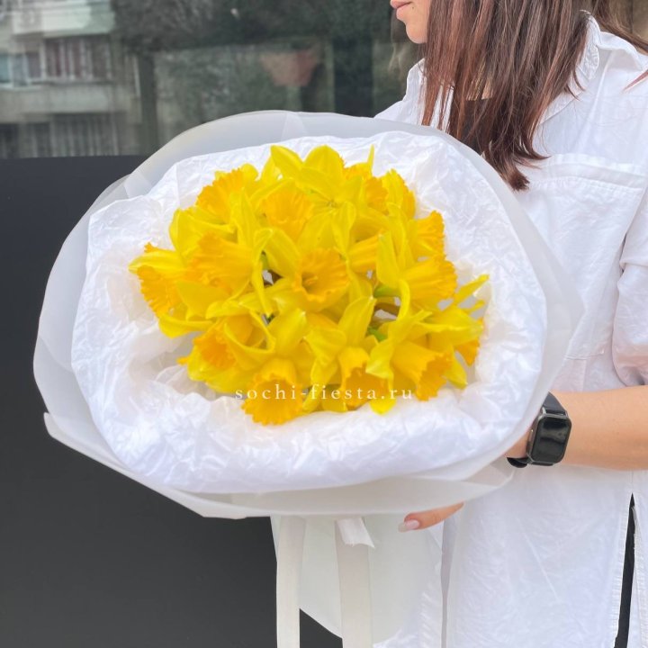 Нарциссы 25 шт в Ульяновске