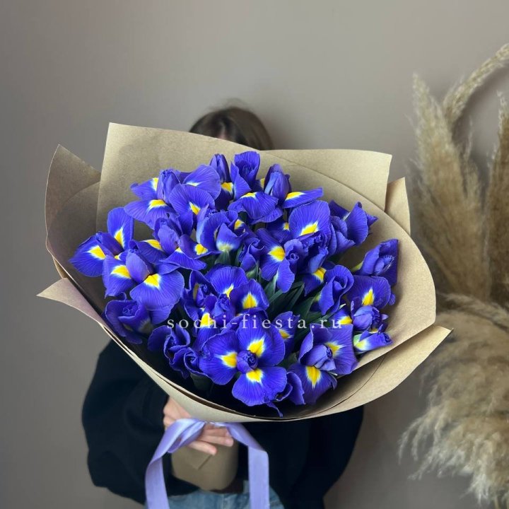 Ирисы в Ульяновске