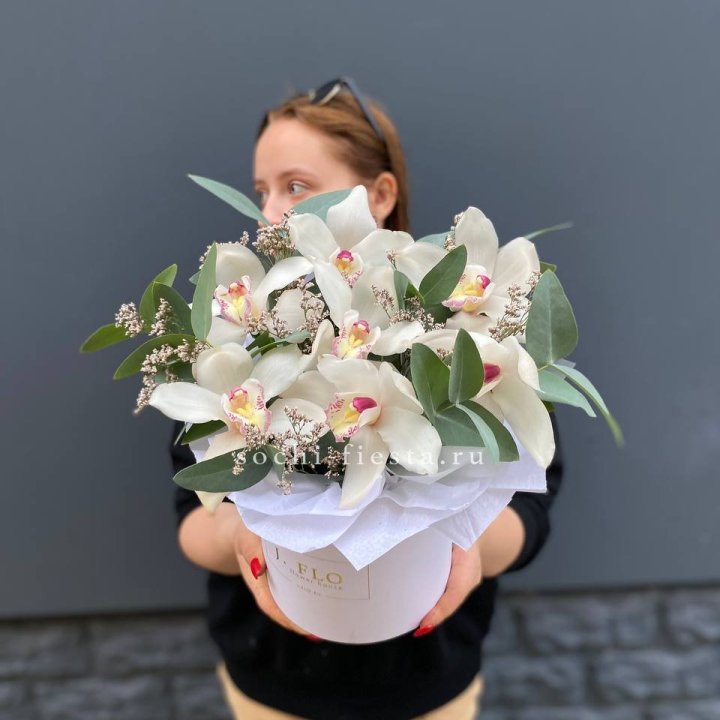 7 орхидей в боксе в Ульяновске