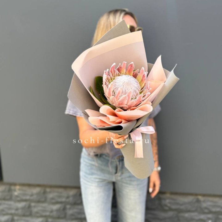 Протея мини  в Ульяновске