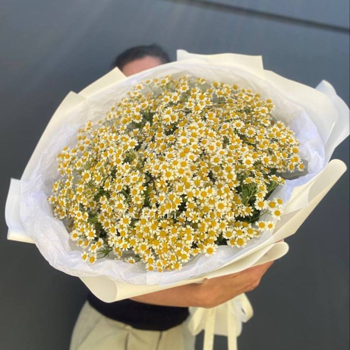 Букет ромашек №2 в Ульяновске