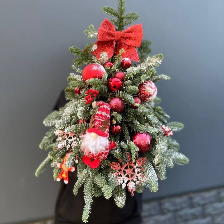 Новогодняя елочка "Ред" в Ульяновске