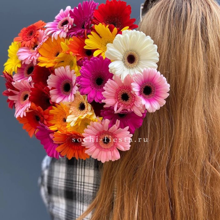 Охапка гербер  в Ульяновске