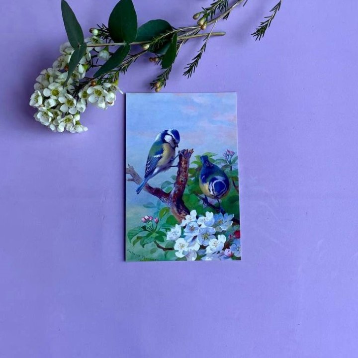 Открытка к букету "Птицы" в Ульяновске