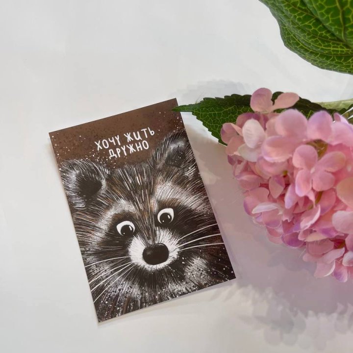 Открытка к букету "Енотик" в Ульяновске