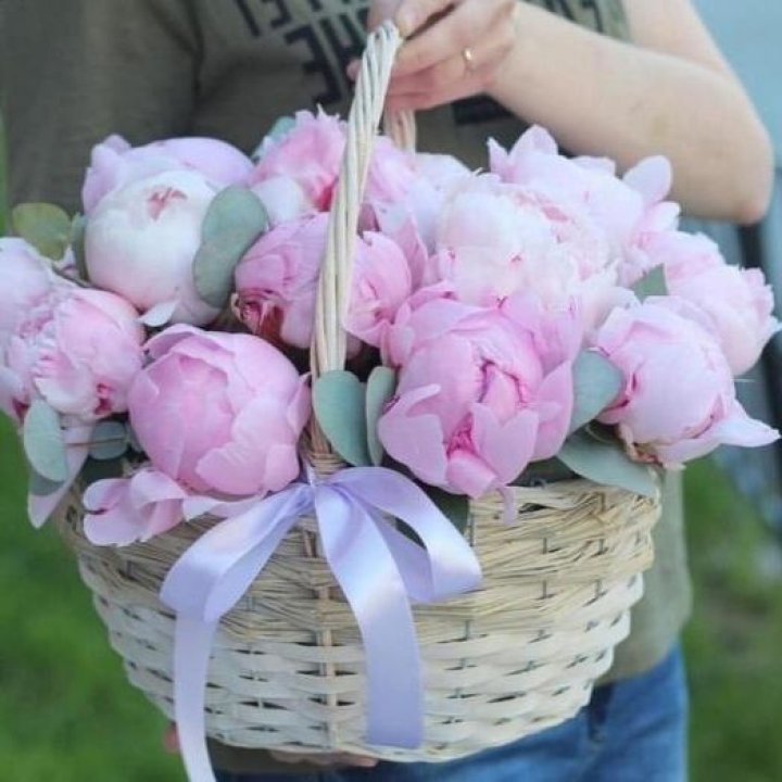 15 пионов в корзине в Ульяновске