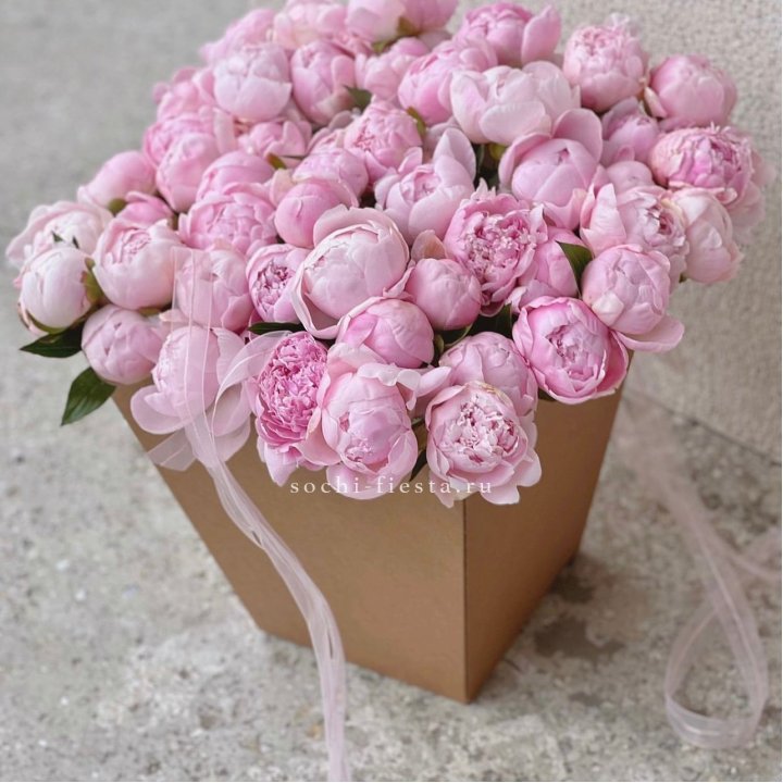 49 пионов в крафт коробке в Ульяновске