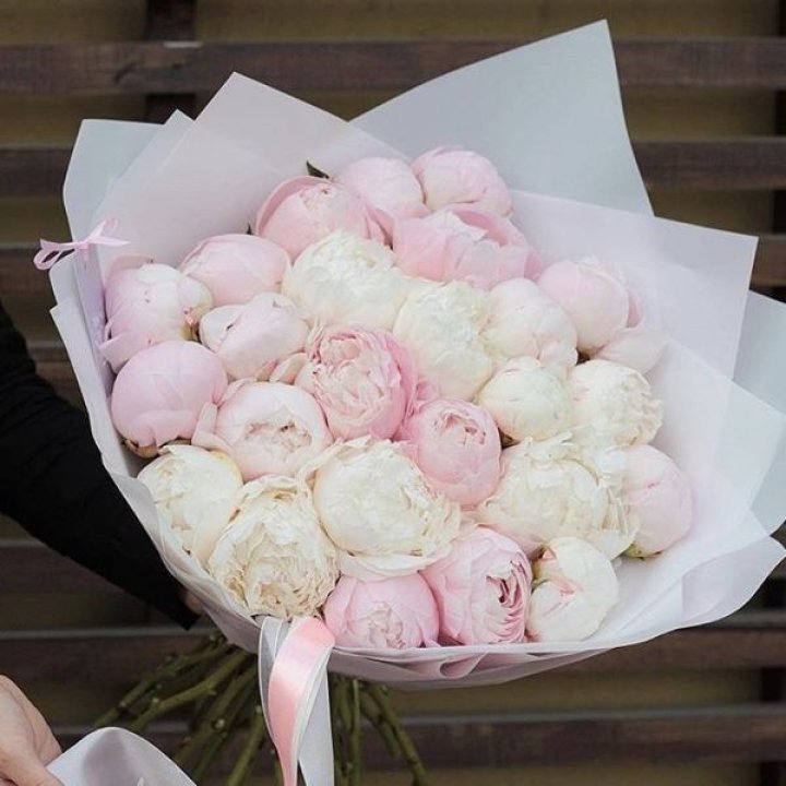 29 пионов в Ульяновске