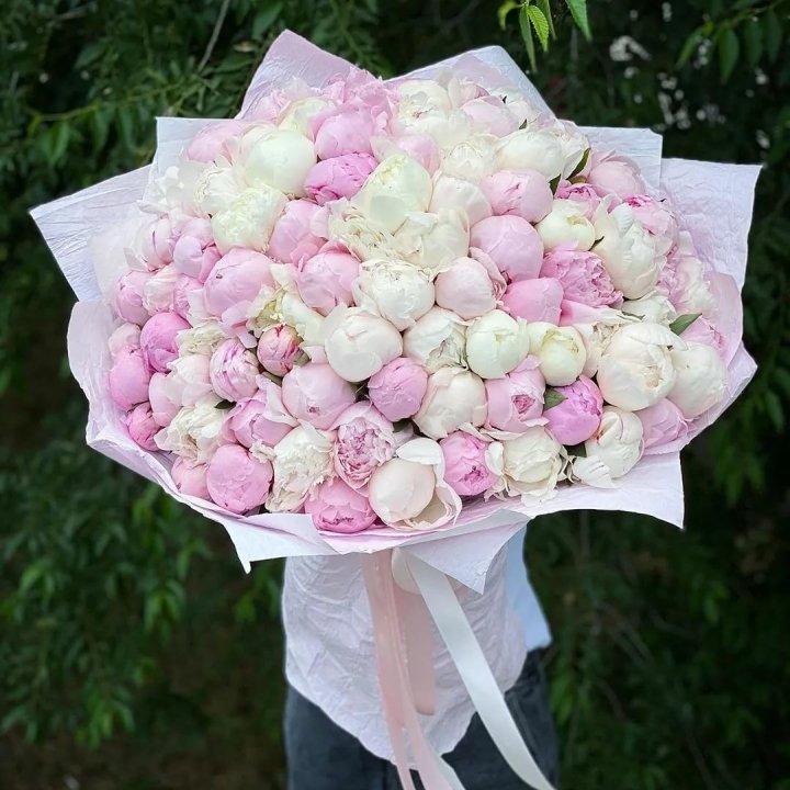 101 пион в Ульяновске