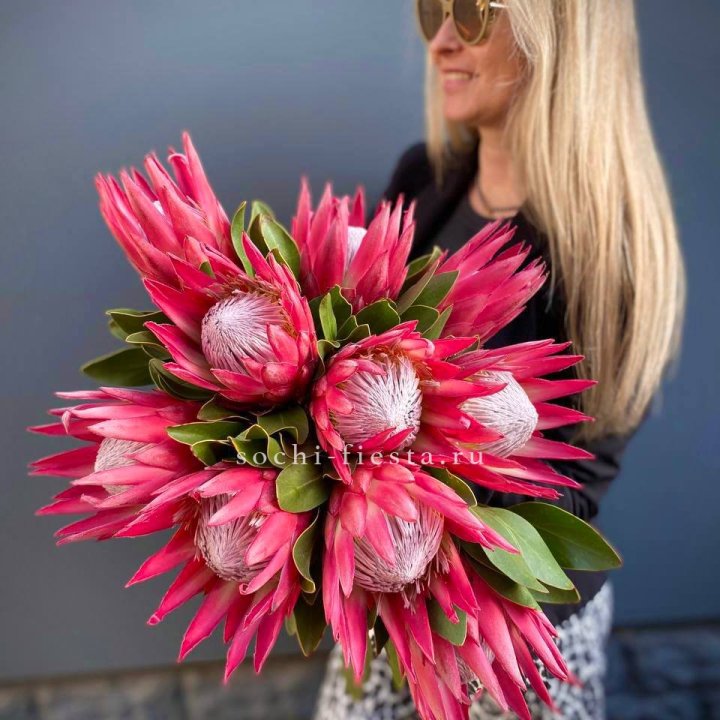 Протея штучно в Ульяновске