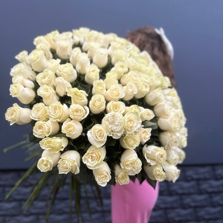 101 белая высокая импортная роза под ленту в Ульяновске