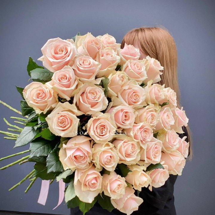 35 кремовых высоких роз в Ульяновске