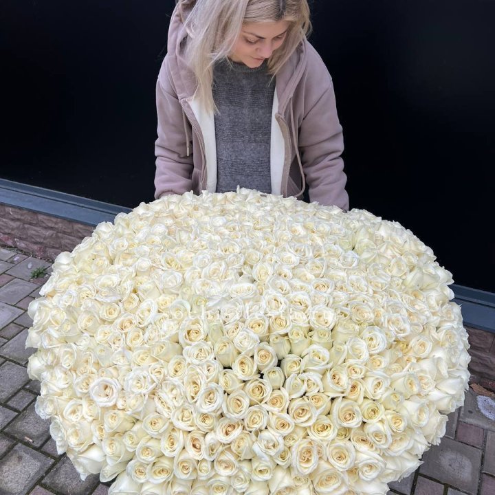 501 белая роза в корзине в Ульяновске