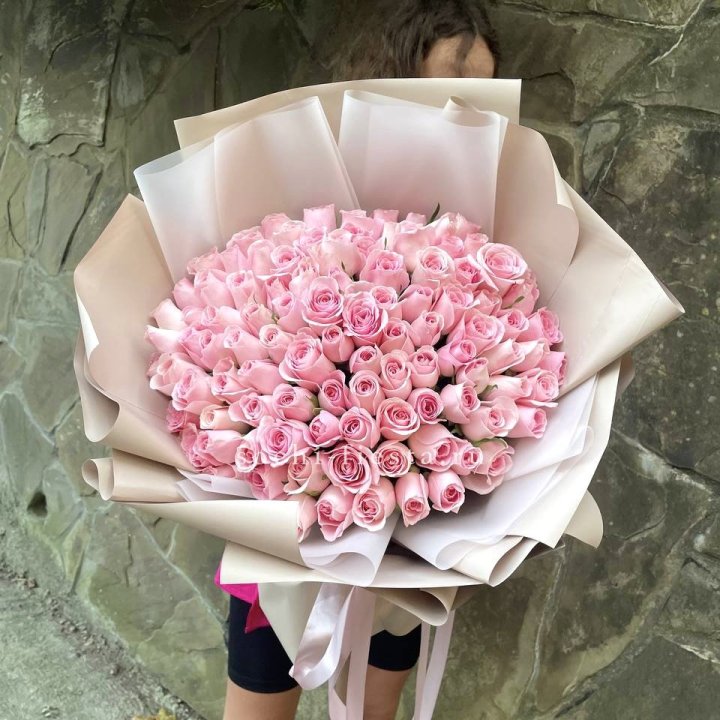 101 нежно-розовая роза Каролина  в Ульяновске