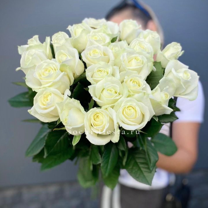 Голландские розы белые 25 в Ульяновске