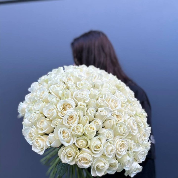Охапка из 101 белой розы  в Ульяновске