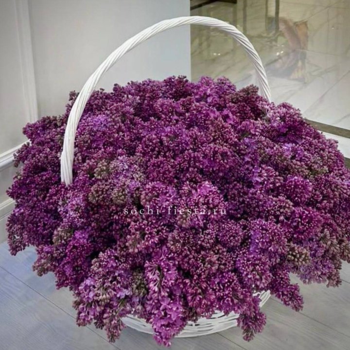 Корзина сирени в Ульяновске