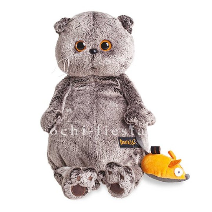 Кот Басик с мышкой в Ульяновске