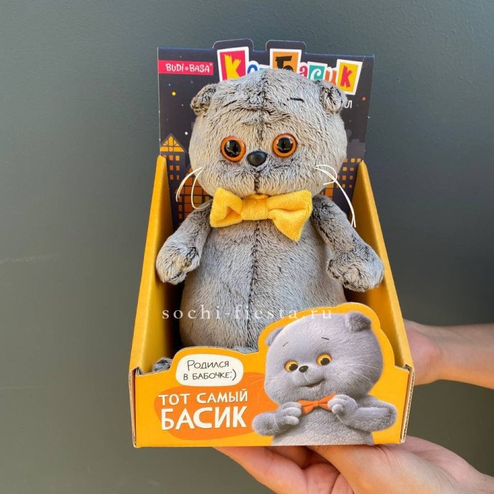 Кот Басик с бабочкой в Ульяновске