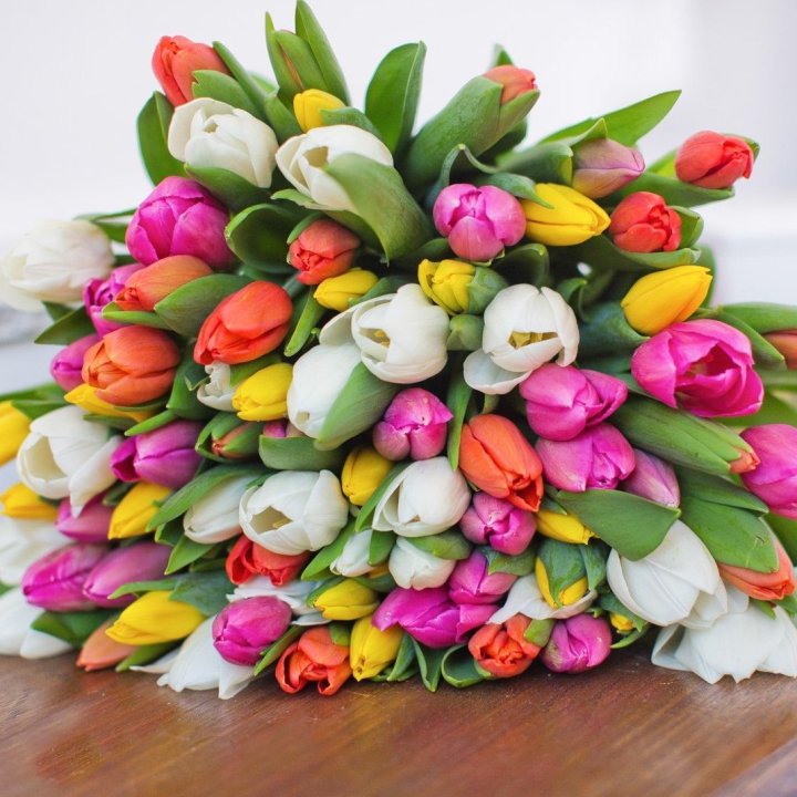 79 тюльпанов "Рандом" в Ульяновске