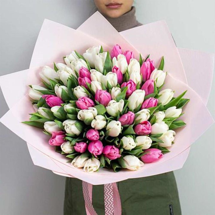 61 бело-розовый тюльпан в Ульяновске