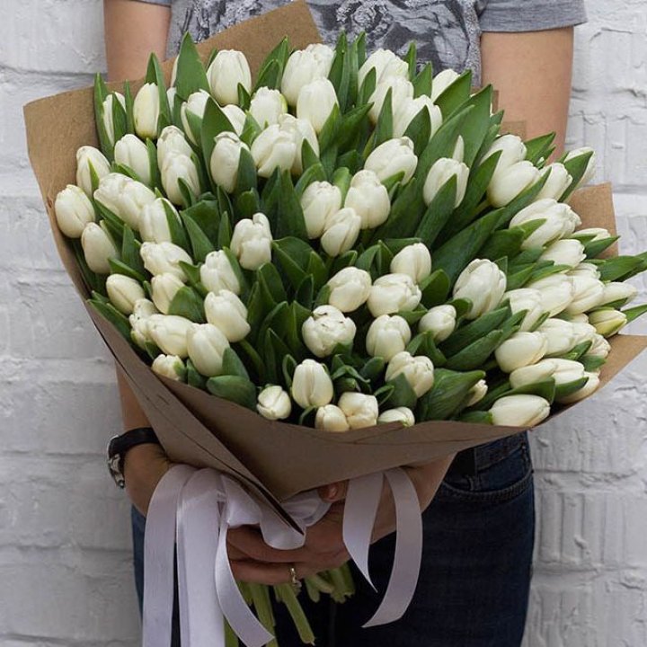 101 тюльпан сноу в Ульяновске