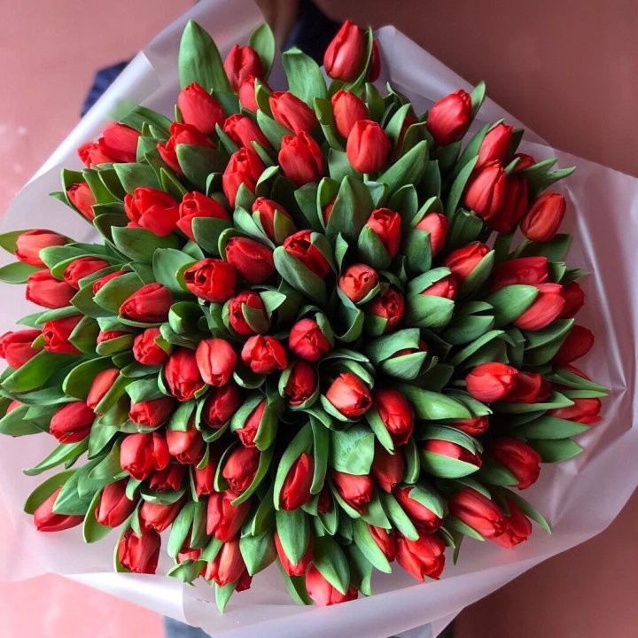 101 красный тюльпан в Ульяновске